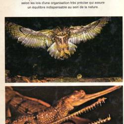 animaux chasseurs de w.van stuijvenberg