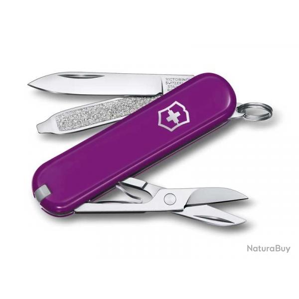 BEL1078 COUTEAU SUISSE VICTORINOX CLASSIC SD TASTY GRAPE 7 FONCTIONS NEUF