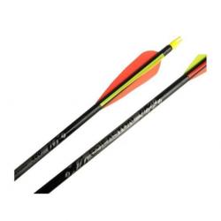 EASTON - 6 FLÈCHES XX75 GAMEGETTER AVEC VANES PLASTIQUES - SPIN 400