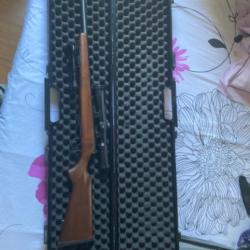 Vends CZ 455 très peu servi LR22 avec lunette et mallette et équipe de bipied