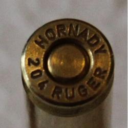 204 RUGER