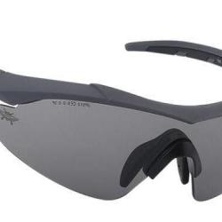 Lunettes de tir professionnel INS - Gris