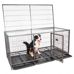 Cage pour chien intérieur et extérieur Mouvedy2XL, 180x93x89cm, caisse de transport, roues verrouill