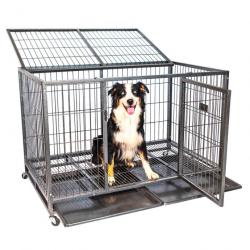 Cage pour chien intérieur et extérieur MouvedyXL, 123x79x84cm, caisse de transport, roues verrouilla