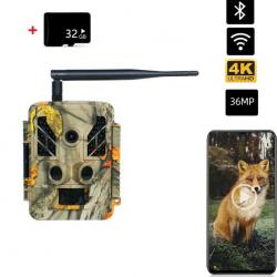 Caméra de Chasse Extérieure WiFi Etanche IP67 Vision Nocturne Infrarouge 4K 36MP+ 32GB