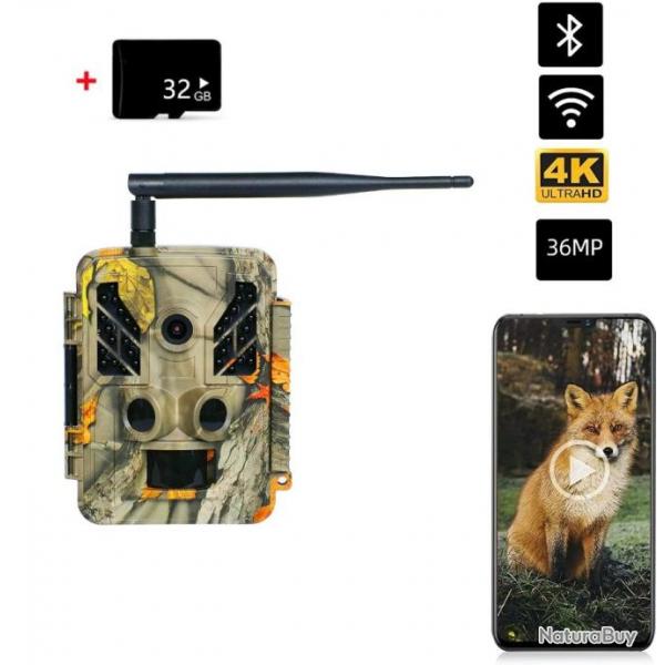 Camra de Chasse Extrieure WiFi Etanche IP67 Vision Nocturne Infrarouge 4K 36MP+ 32GB