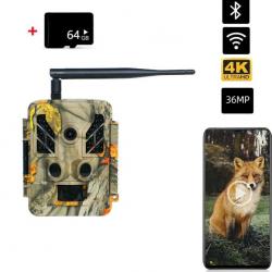 Caméra de Chasse Extérieure WiFi Etanche IP67 Vision Nocturne Infrarouge 4K 36MP+ 64 GB