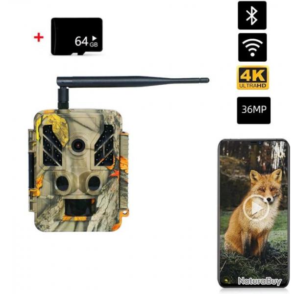 Camra de Chasse Extrieure WiFi Etanche IP67 Vision Nocturne Infrarouge 4K 36MP+ 64 GB