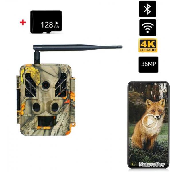 Camra de Chasse Extrieure WiFi Etanche IP67 Vision Nocturne Infrarouge 4K 36MP+ 128 GB