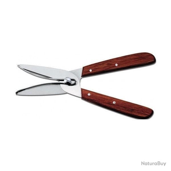 Victorinox 6.5009 Scateur ou Ciseaux pour fleurs et Raisins