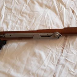 Crosse pliante Ruger Mini 14