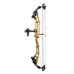 SANLIDA - Arc à poulies HERO X10 50-60 # DROITIER (RH) GOLD 27"-29.5"