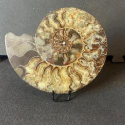 Magnifique demi ammonite cristallisé de 21 cm