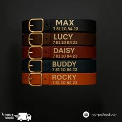 Collier pour chien personnalisé gravé solide US 24 mm VERT TT15