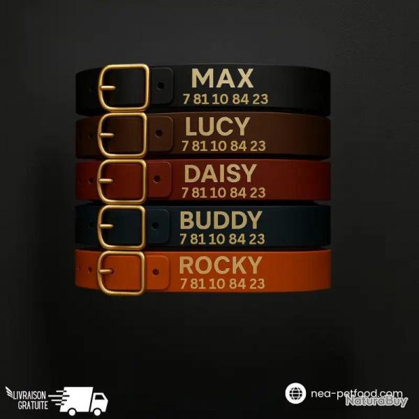 Collier pour chien personnalis grav solide US 24 mm VERT TT15