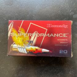 BALLES HORNADY SUPERFORMANCE 95gr SST 243 win