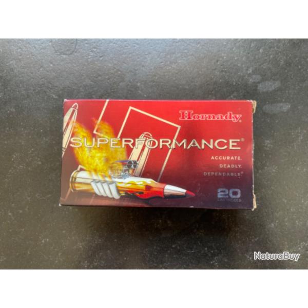 BALLES HORNADY SUPERFORMANCE 95gr SST 243 win