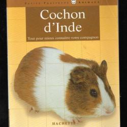 cochon d'inde par  katrin behrend.