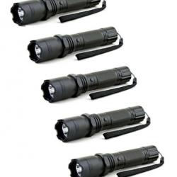 Lot de 5 Shocker lampe Praga Beta 2 - 2 400 000 V