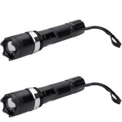 Lot de 2 Shocker lampe Praga Mag Zoom - 4 500 000 V