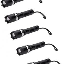 Lot de 5 Shocker lampe Praga Mag Zoom - 4 500 000 V