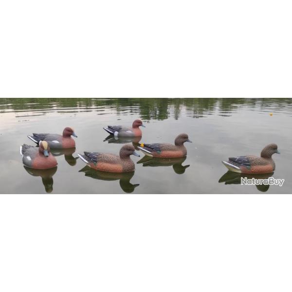 Forme de siffleur HD Duck Hunter Le lot de 6