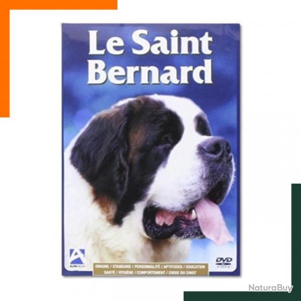 DVD - LE SAINT BERNARD