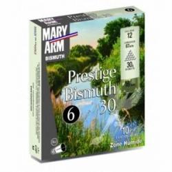 MARY ARM BISMUTH 30 BJ CAL12 N6