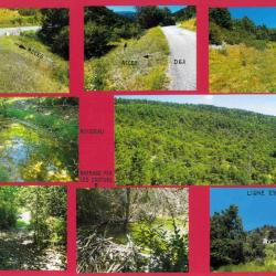 22,4884 ha - FORÊT DU COLET - ( 26 ) DRÔME