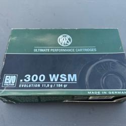 Munitions RWS 300WSM EVO