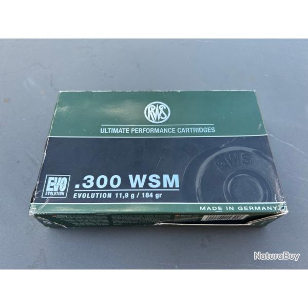 Munitions RWS 300WSM EVO