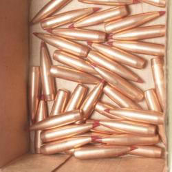 32 ogives HORNADY ELD-X  145 grains calibre 270