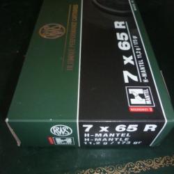 Munition 7x65R RWS 173gr