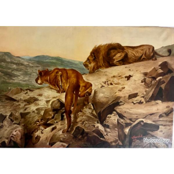 Lion et lionne huile sur toile par w.papendick