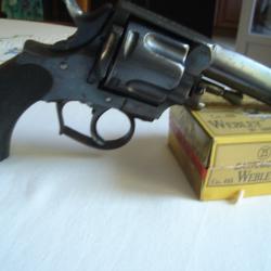 Magnifique Bulldog calibre 450