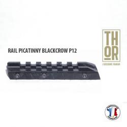 Rail picatinny pour fusil à pompe Verney-Carron Blackcrow P12 - Thor-Accessoires