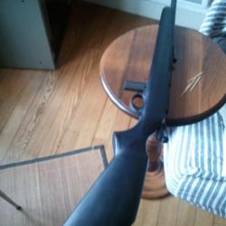 carabine Armscor 22lr