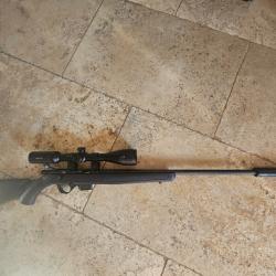 Carabine mossberg 17hmr