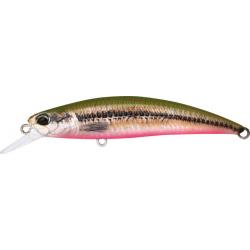 Leurre DUO Spearhead Ryuki 70S ACC4830 VAIRON /GREEN BACK -  RED BELLY