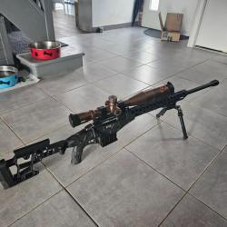 Carabine 308