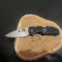 Spyderco native 5