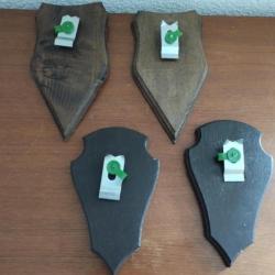 4 ECUSSONS BOIS AVEC PINCES DE FIXATION METAL POUR TROPHEES CHASSE CHEVREUIL CHAMOIS