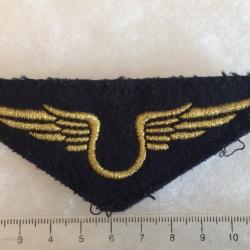 FRANCE ARMEE DE L'AIR -Insigne troupe de poitrine