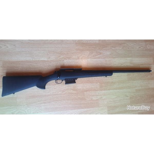 .204 ruger HOWA 1500