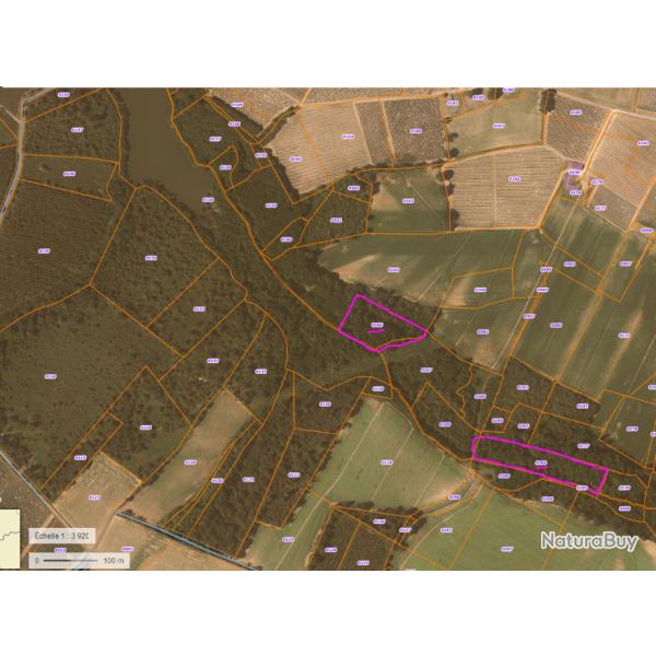 2 parcelles bois  vendre feuillus naturel (vergnes)