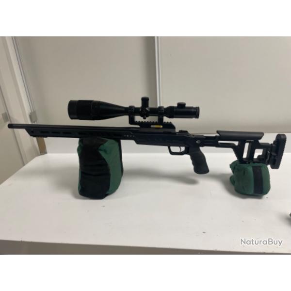 carabine 22lr custom tikka T1X chassis rome (victrix)