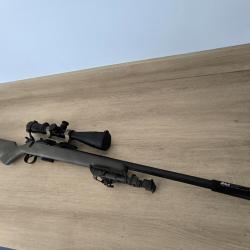 CZ 455 17HMR