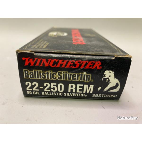 18 Munitions Winchester Cal. 22.250 Rem ballistic Silvertip  partir d'un 1 sans prix de rserve