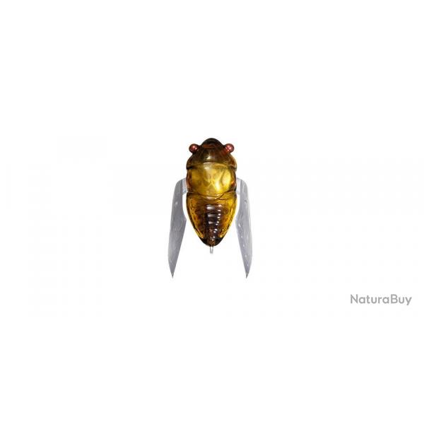 NANO SIGLETT - HARU ZEMI