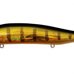 ITO SHINER SSR - GG PERCH